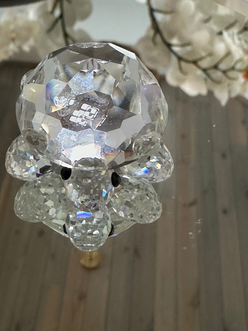Swarovski Turtle with box